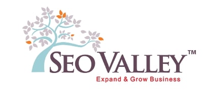 SEOValley Solutions Pvt. Ltd logo
