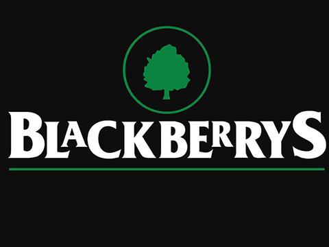 Blackberrys Image
