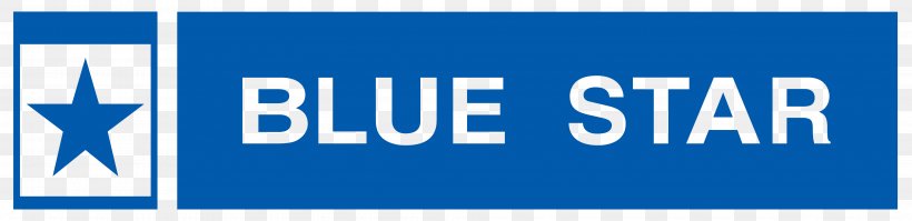 Blue Star Infotech Ltd. logo