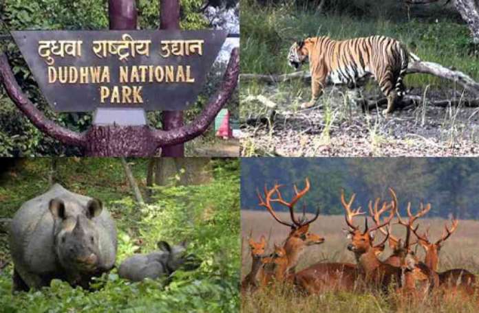 Dudhwa National Park Image