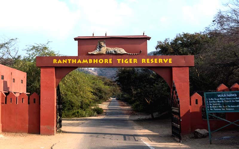 Ranthambore National Park Image