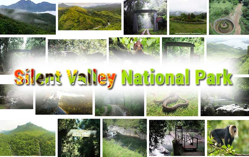 Silent Valley National Park Image