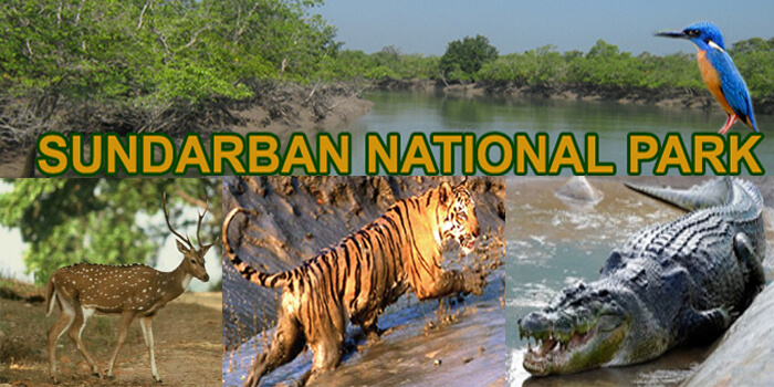 Sundarbans National Park Image