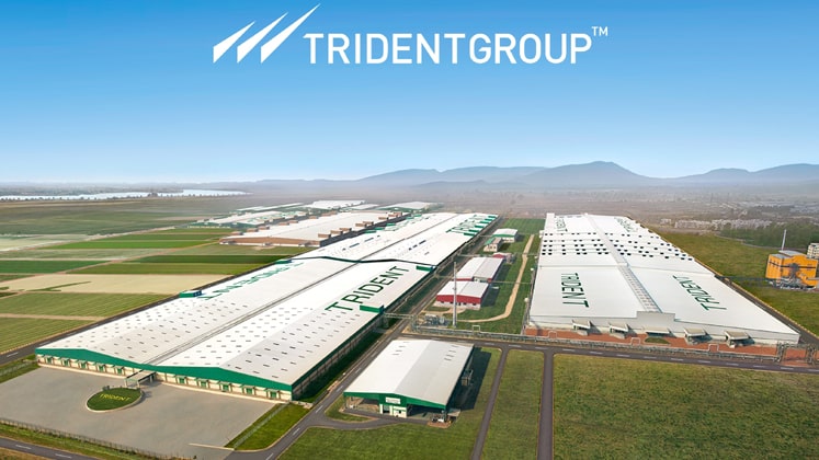 Trident Ltd. Image