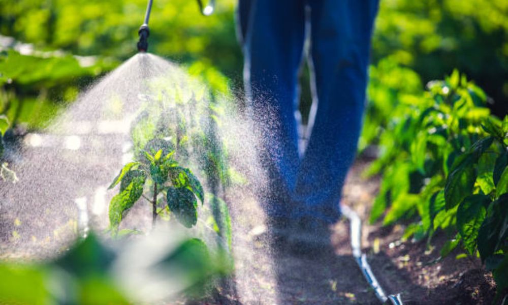 Top 20 agrochemical Companies in India For Control Pests