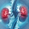 Top 20 Kidney Hospitals in India For Best Treatment