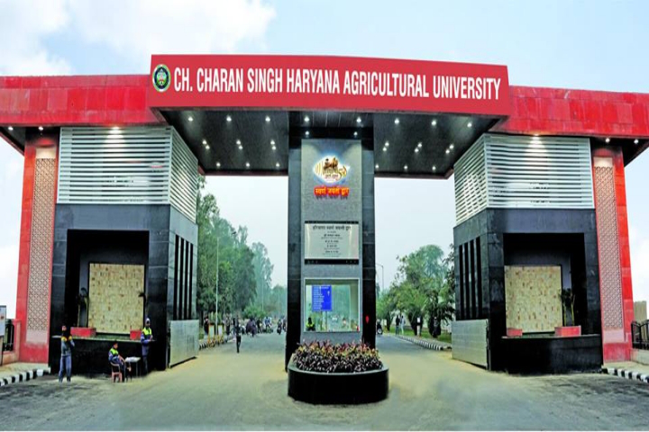Chaudhary Charan Singh Haryana Agricultural University Image