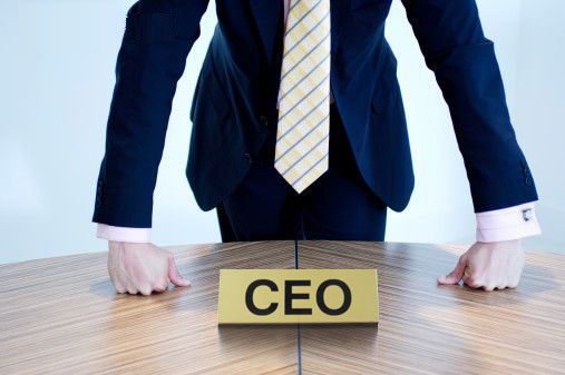 Chief Executive Officer (CEO) Image