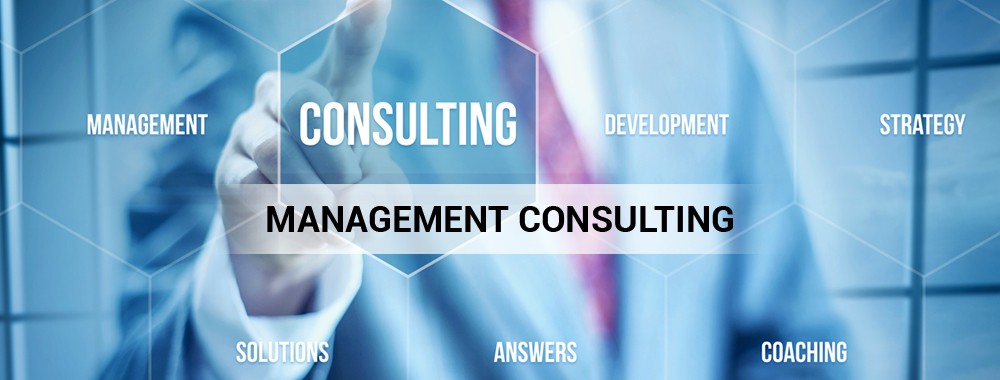Management Consultant Image