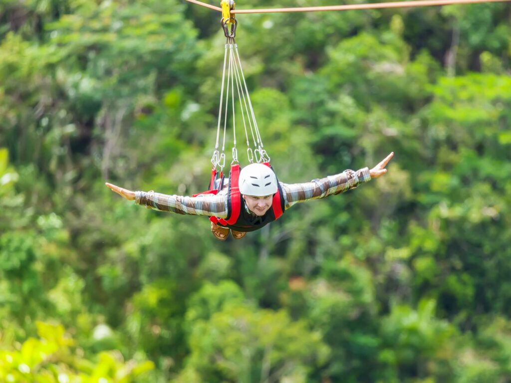 Flying Fox Image