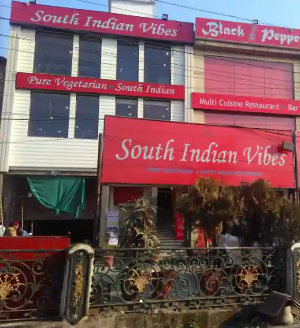 South Indian Vibes Image