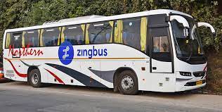 Zingbus Image