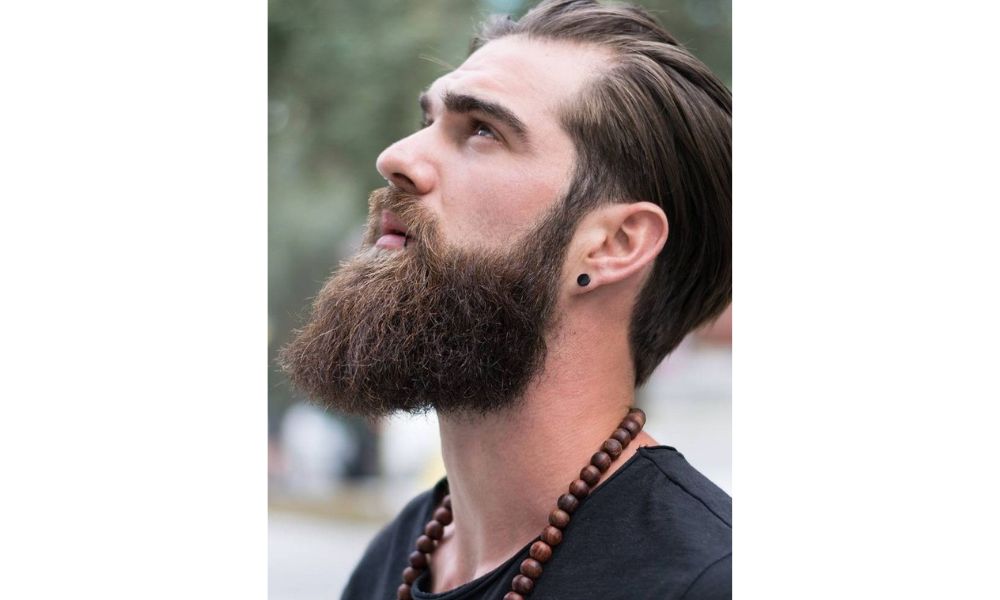 Thick bushy beard image